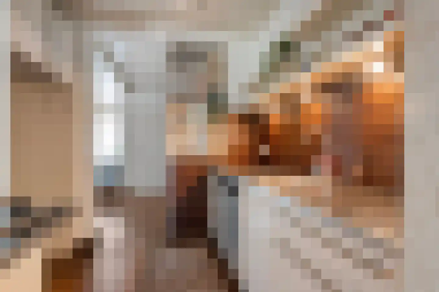 Thonies van der Borchstraat 21 Denekamp thumbnail 12