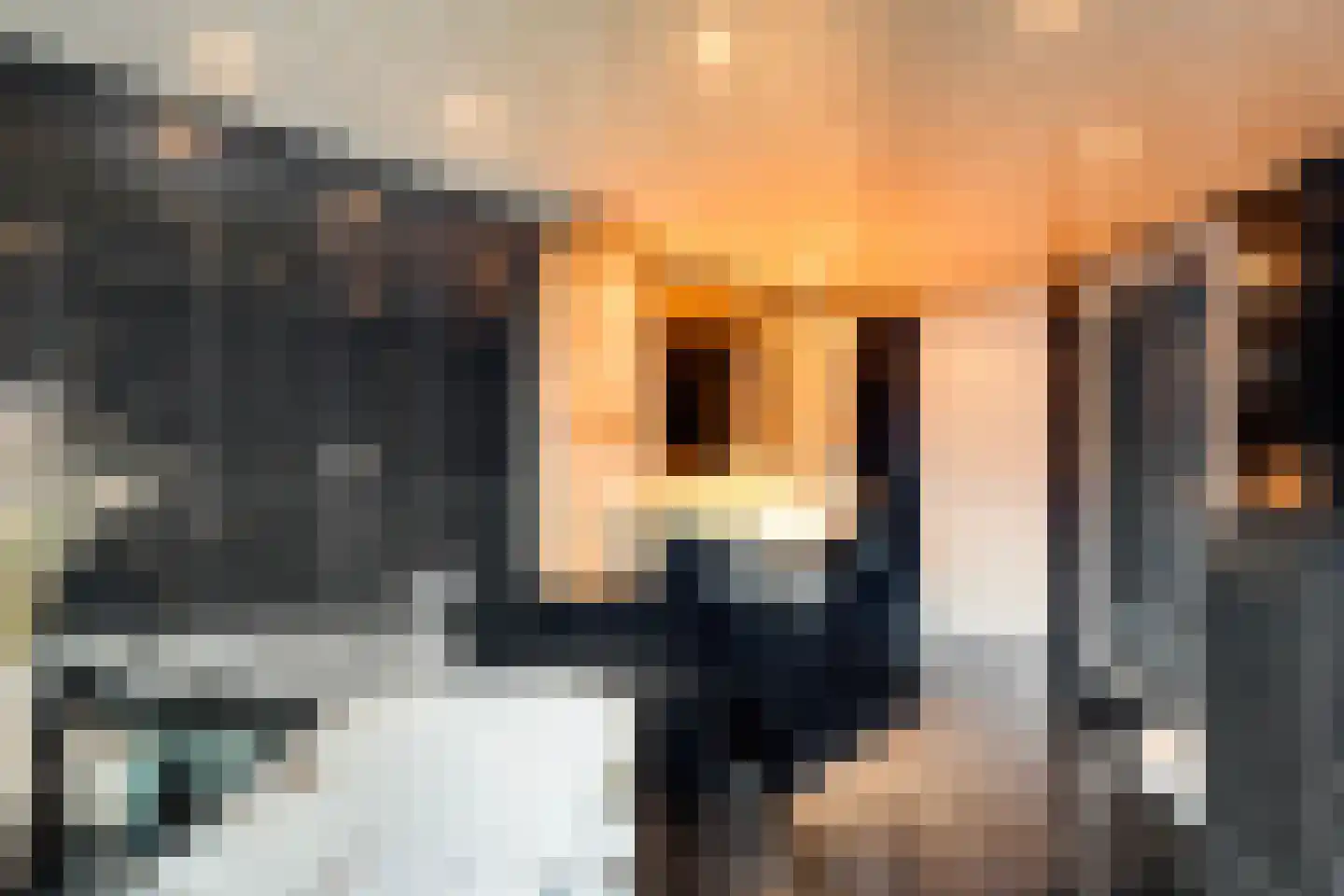 Thonies van der Borchstraat 21 Denekamp thumbnail 13