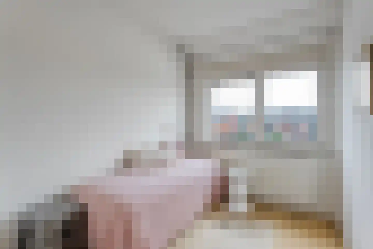 Thonies van der Borchstraat 21 Denekamp thumbnail 16