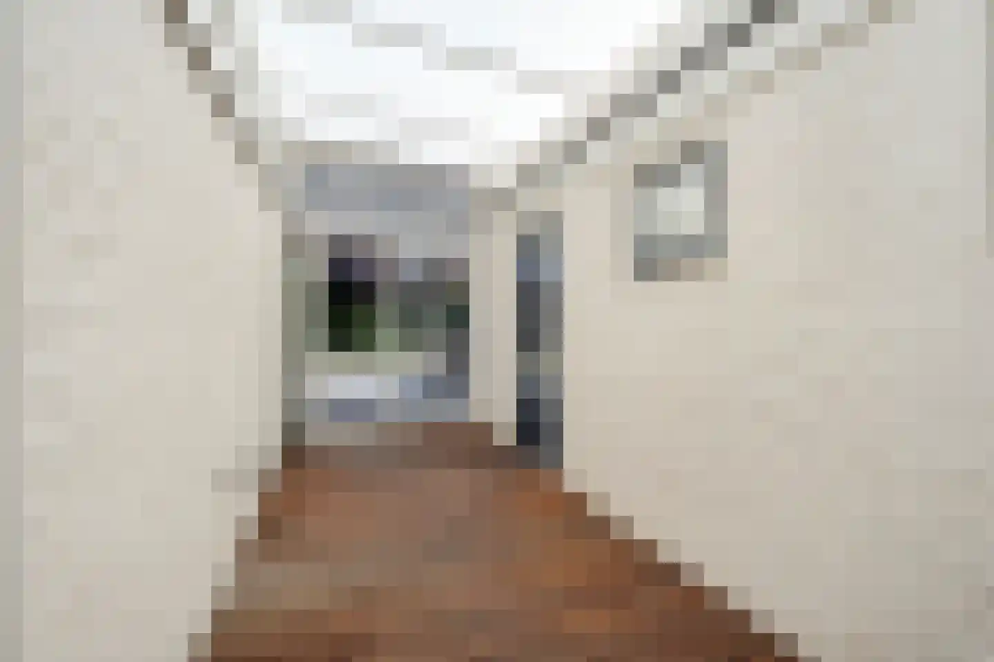 Thonies van der Borchstraat 21 Denekamp thumbnail 16