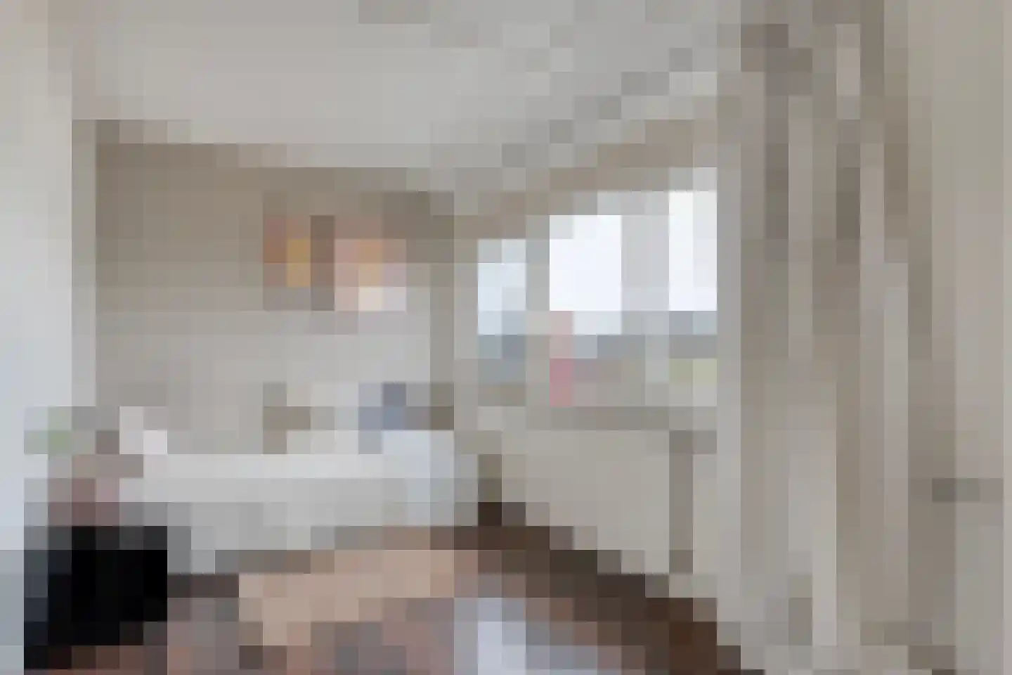 Thonies van der Borchstraat 21 Denekamp thumbnail 17