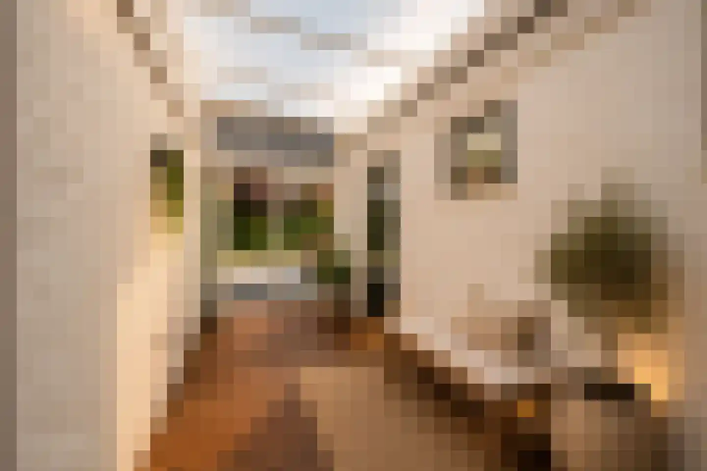 Thonies van der Borchstraat 21 Denekamp thumbnail 17