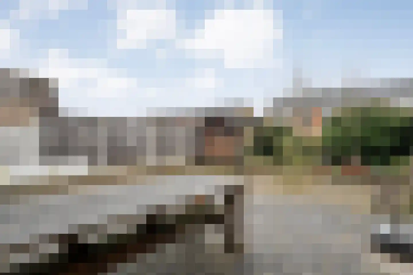 Thonies van der Borchstraat 21 Denekamp thumbnail 20
