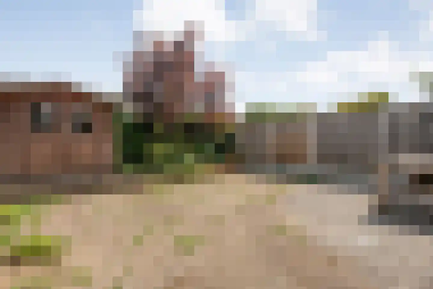 Thonies van der Borchstraat 21 Denekamp thumbnail 20