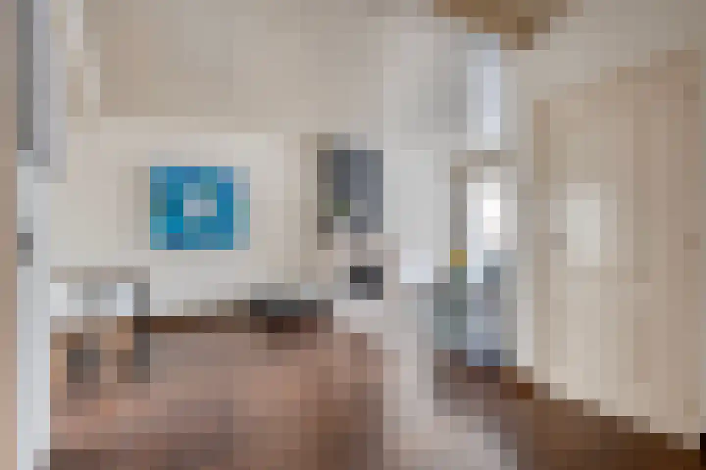 Thonies van der Borchstraat 21 Denekamp thumbnail 7