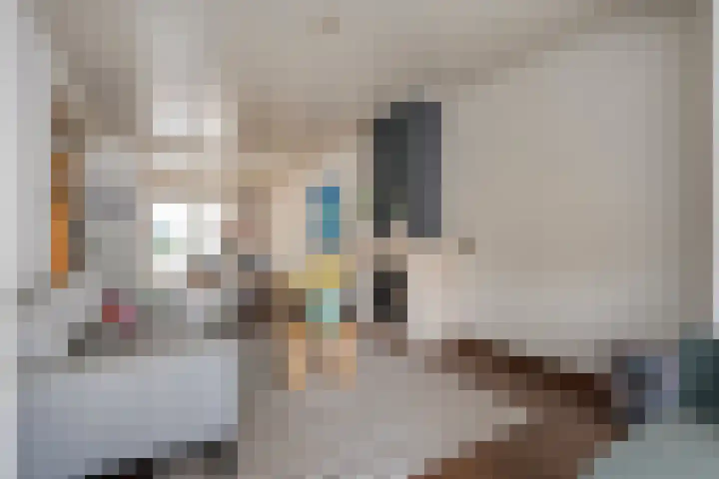 Thonies van der Borchstraat 21 Denekamp thumbnail 8
