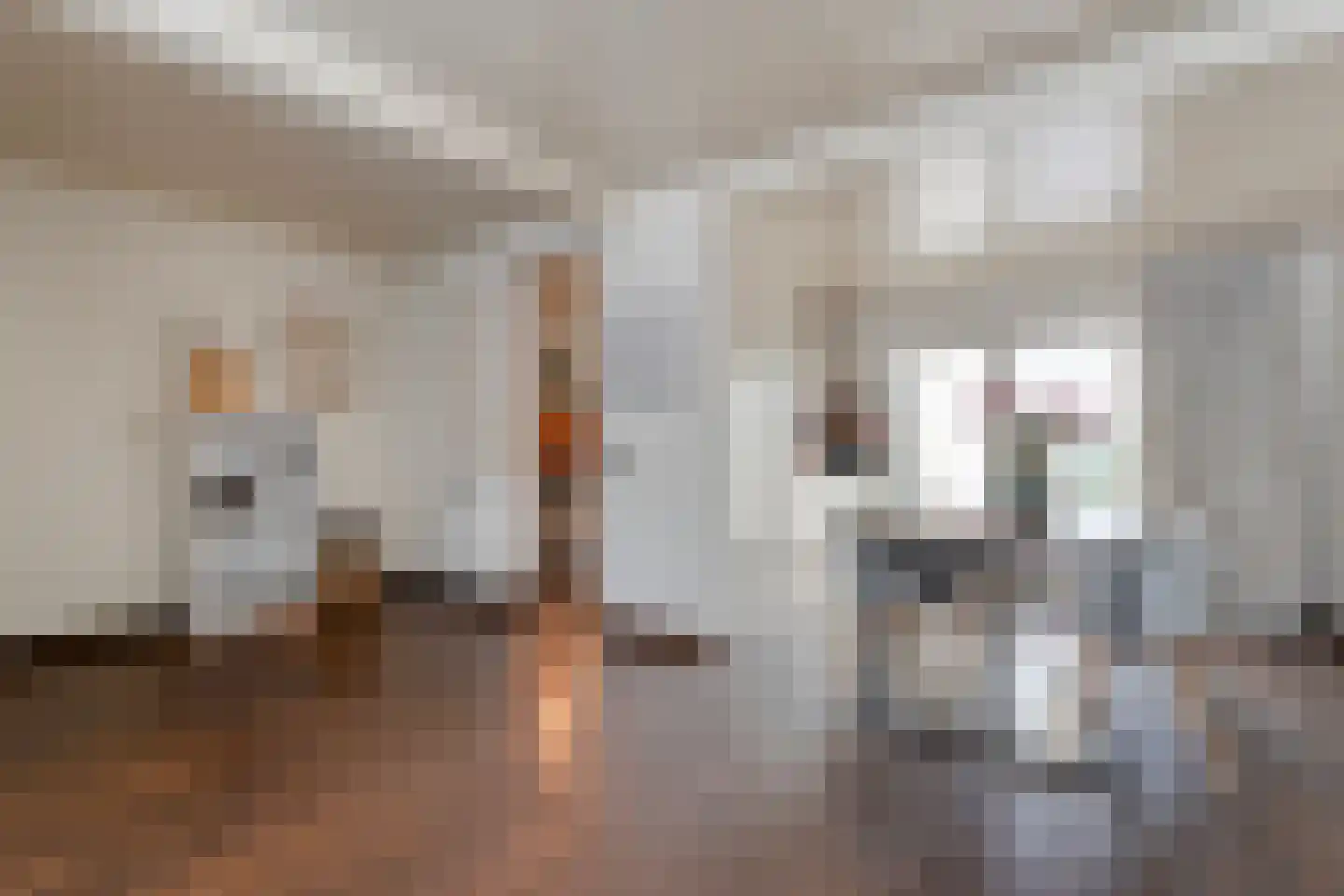 Thonies van der Borchstraat 21 Denekamp thumbnail 9