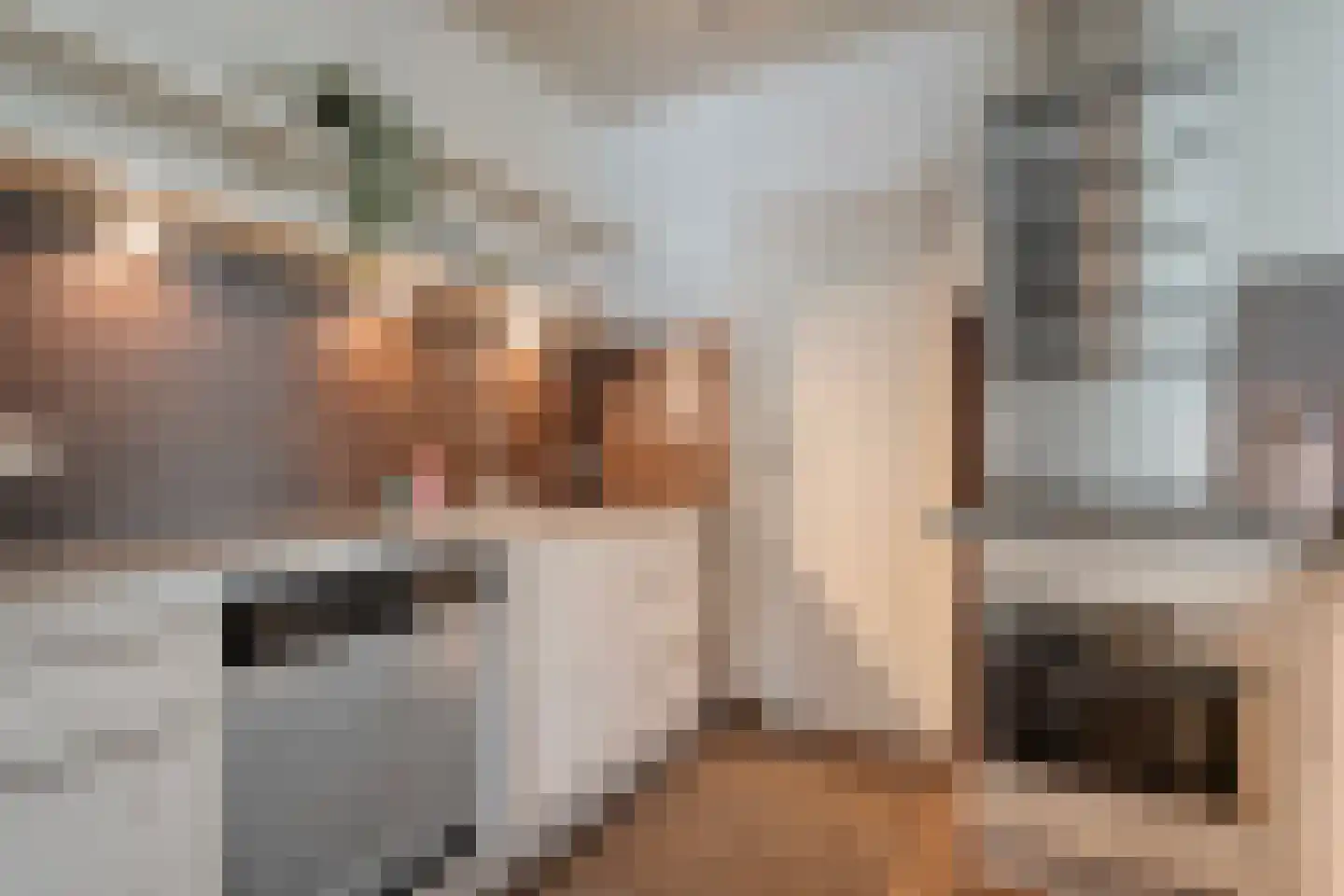 Thonies van der Borchstraat 21 Denekamp thumbnail 9