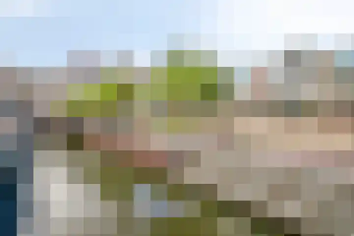 Thoomesplein 36 Veenendaal thumbnail 18