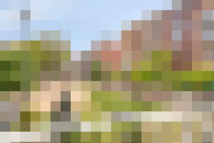 Thoomesplein 36 Veenendaal thumbnail 9