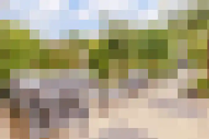 Thoornpolder 26 Hoofddorp thumbnail 12