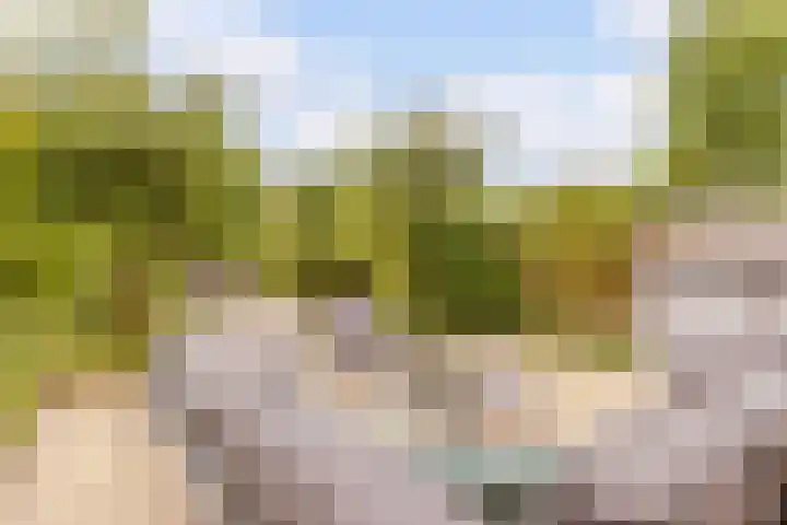 Thoornpolder 26 Hoofddorp thumbnail 13