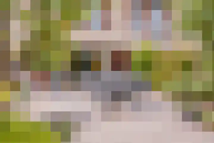 Thoornpolder 26 Hoofddorp thumbnail 15