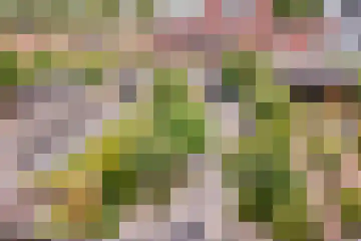 Thoornpolder 26 Hoofddorp thumbnail 16
