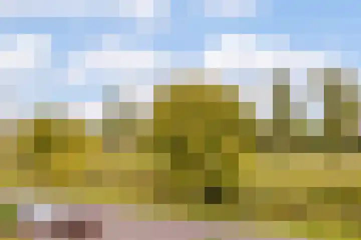 Thoornpolder 26 Hoofddorp thumbnail 31