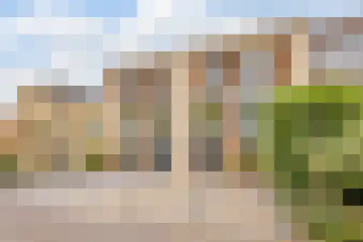 Thoornpolder 26 Hoofddorp thumbnail 34