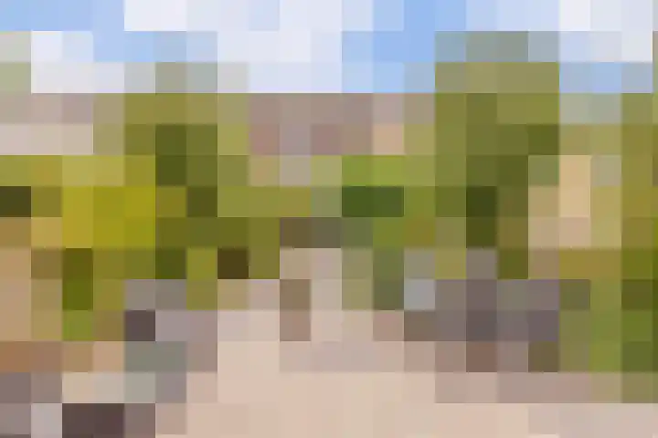 Thoornpolder 26 Hoofddorp thumbnail 4