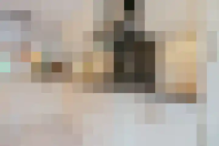 Thoornpolder 26 Hoofddorp thumbnail 9