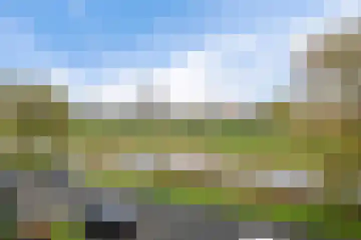 Thoornpolder 52 Hoofddorp thumbnail 33
