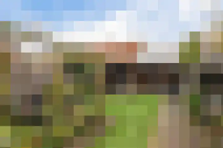 Thoornpolder 52 Hoofddorp thumbnail 37
