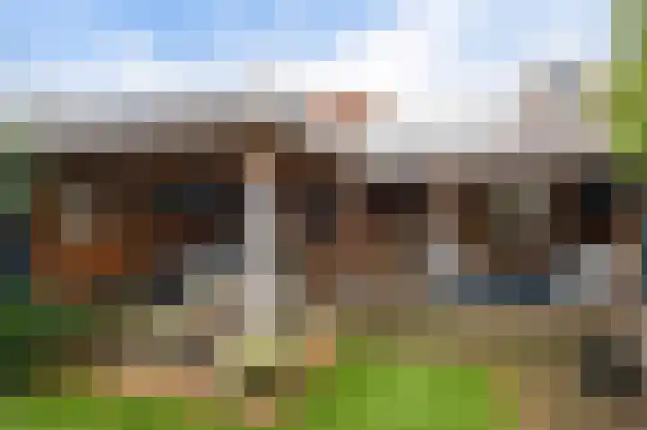Thoornpolder 52 Hoofddorp thumbnail 8