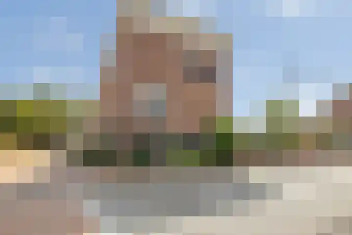 Thoornseweg 71 Bavel thumbnail 6