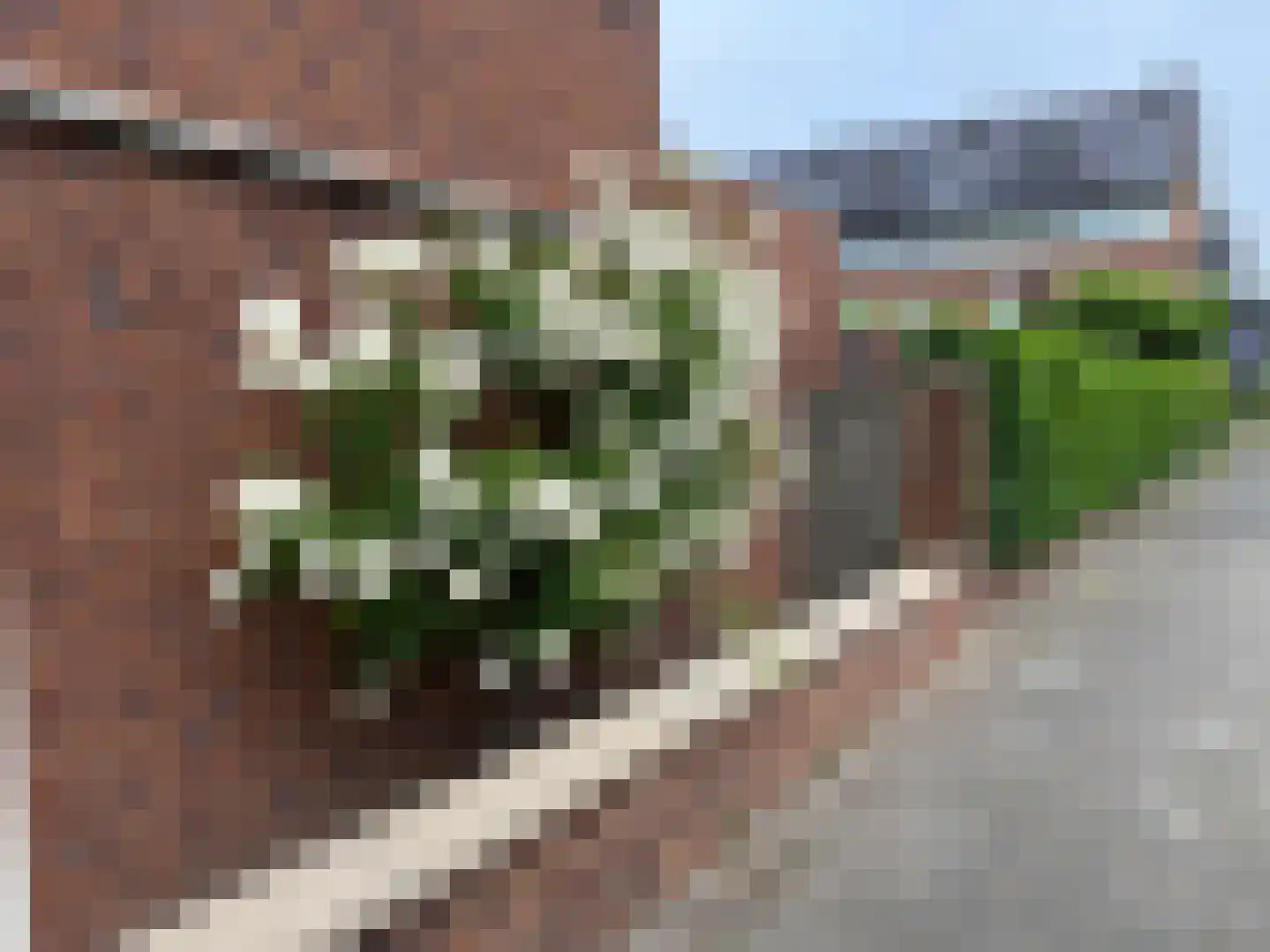 Thoornseweg 90 Bavel thumbnail 40
