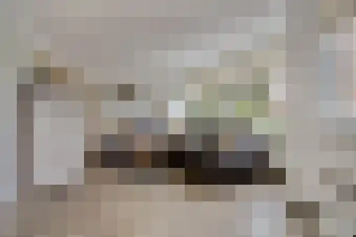 Thorbecke singel 10 Raamsdonksveer thumbnail 11