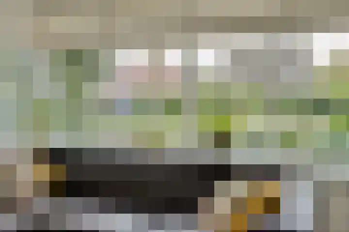 Thorbecke singel 10 Raamsdonksveer thumbnail 12