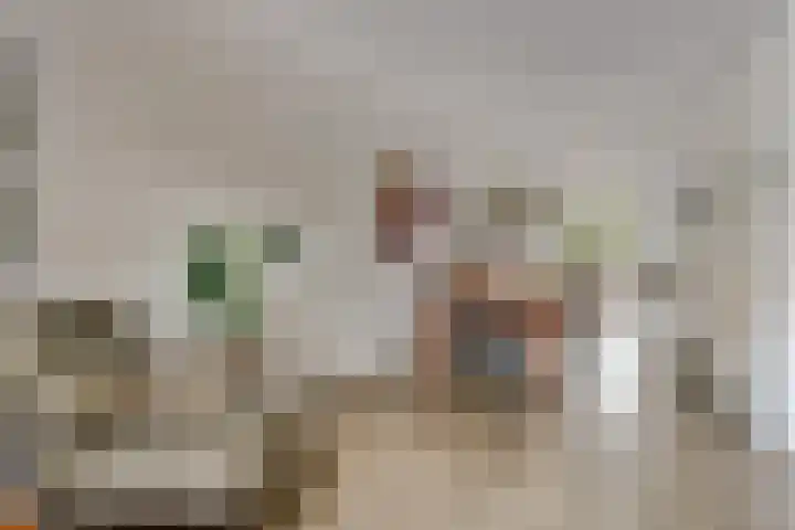 Thorbecke singel 10 Raamsdonksveer thumbnail 14