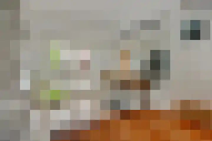 Thorbecke singel 10 Raamsdonksveer thumbnail 16