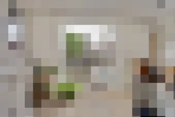 Thorbecke singel 10 Raamsdonksveer thumbnail 19