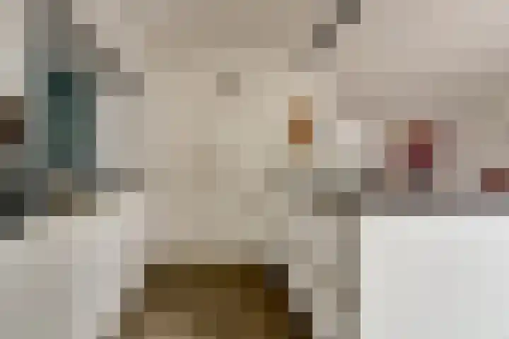 Thorbecke singel 10 Raamsdonksveer thumbnail 20