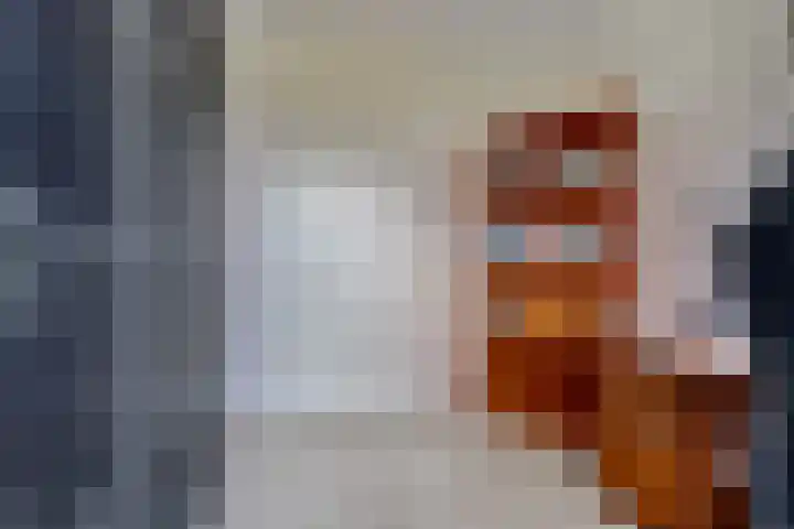 Thorbecke singel 10 Raamsdonksveer thumbnail 27