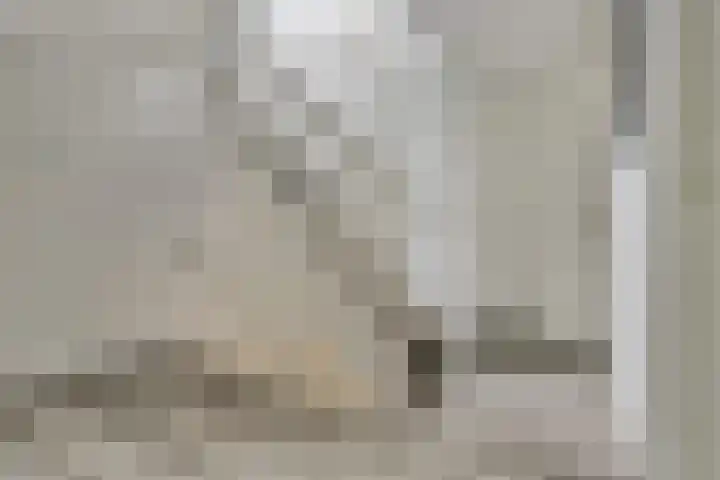 Thorbecke singel 10 Raamsdonksveer thumbnail 34