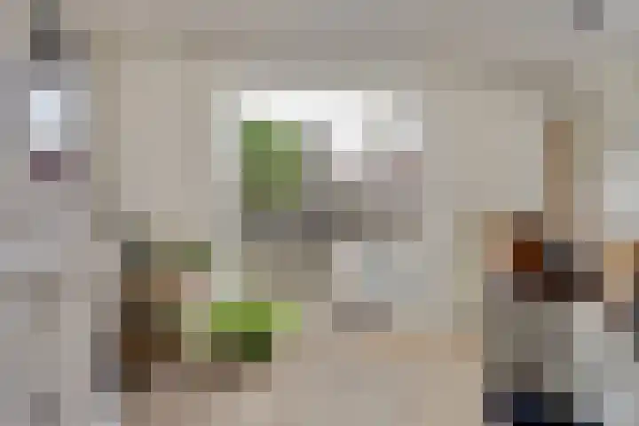 Thorbecke singel 10 Raamsdonksveer thumbnail 4
