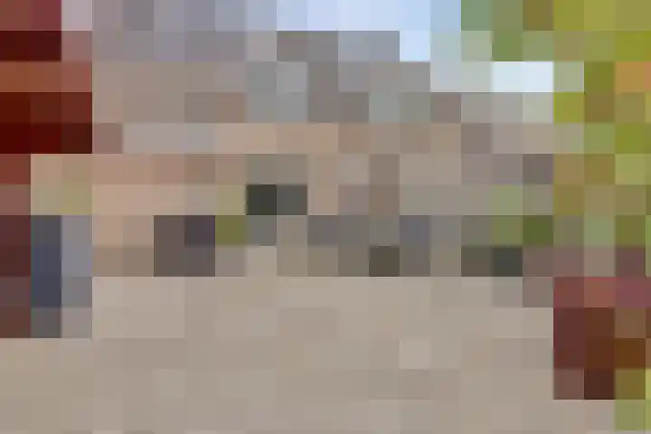 Thorbecke singel 10 Raamsdonksveer thumbnail 40