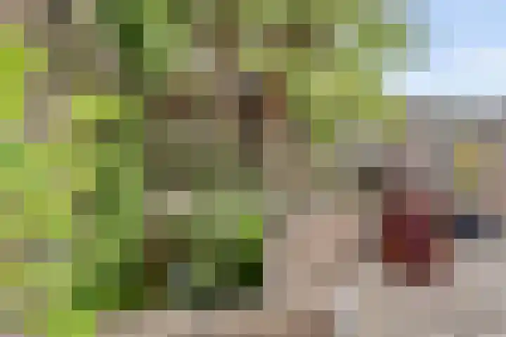 Thorbecke singel 10 Raamsdonksveer thumbnail 44