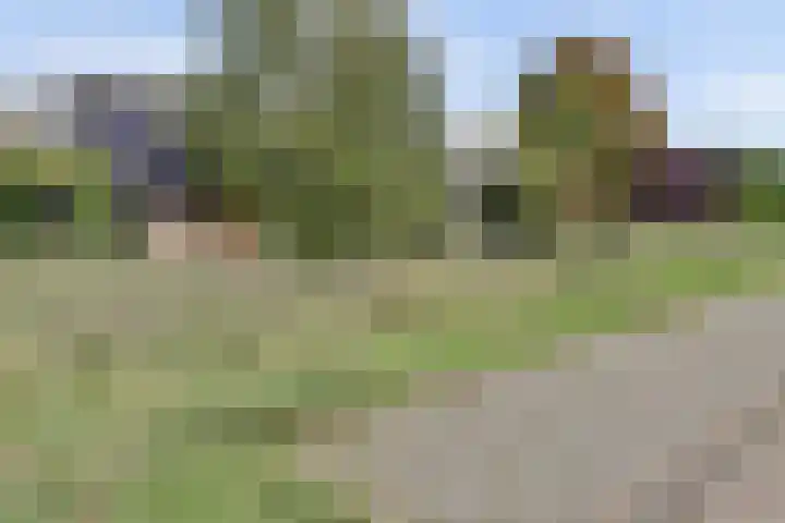 Thorbecke singel 10 Raamsdonksveer thumbnail 46