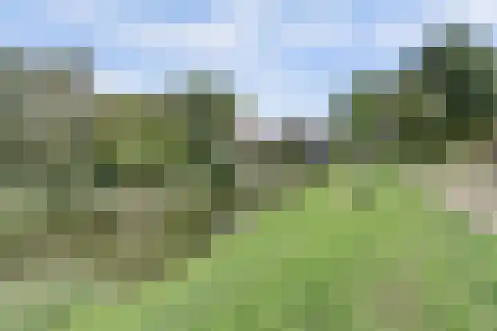 Thorbecke singel 10 Raamsdonksveer thumbnail 47