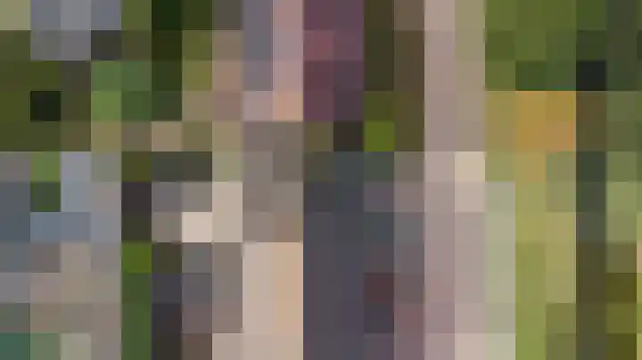 Thorbecke singel 10 Raamsdonksveer thumbnail 53