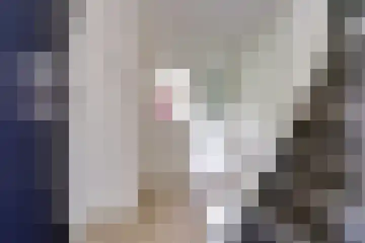 Thorbecke singel 10 Raamsdonksveer thumbnail 8