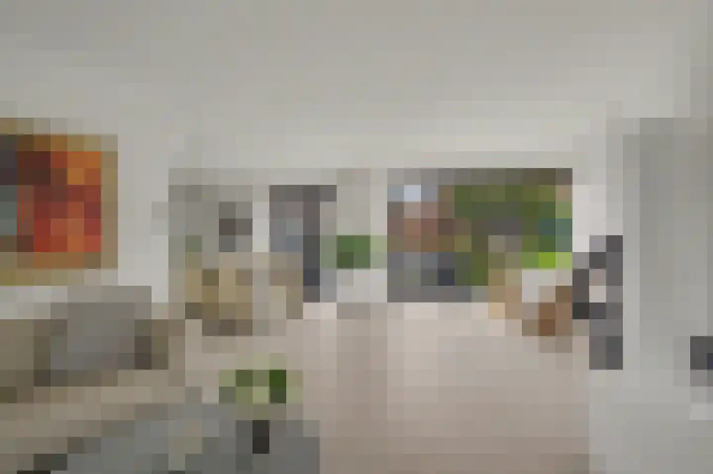 Thorbecke singel 20 Raamsdonksveer thumbnail 11