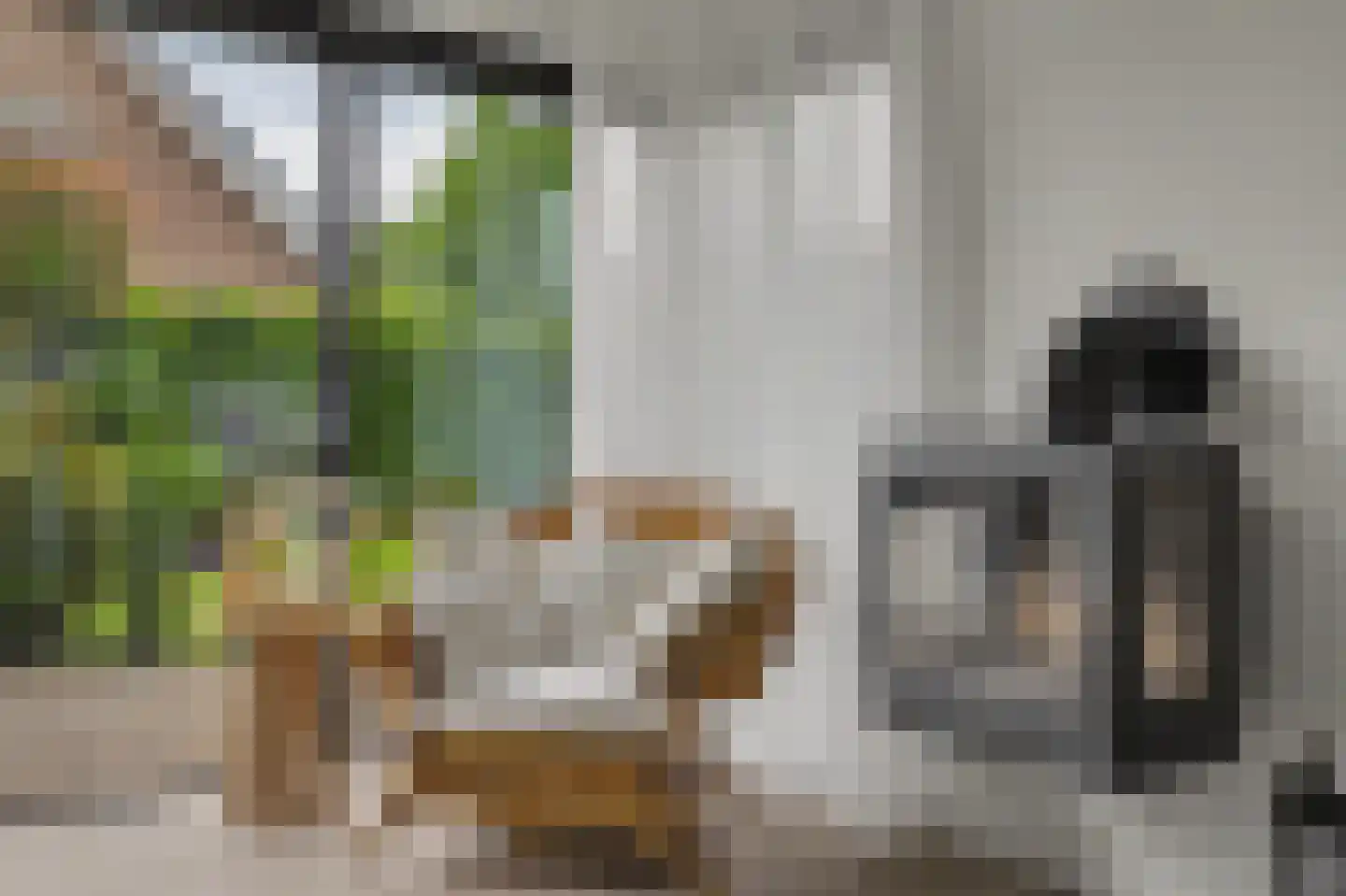 Thorbecke singel 20 Raamsdonksveer thumbnail 12