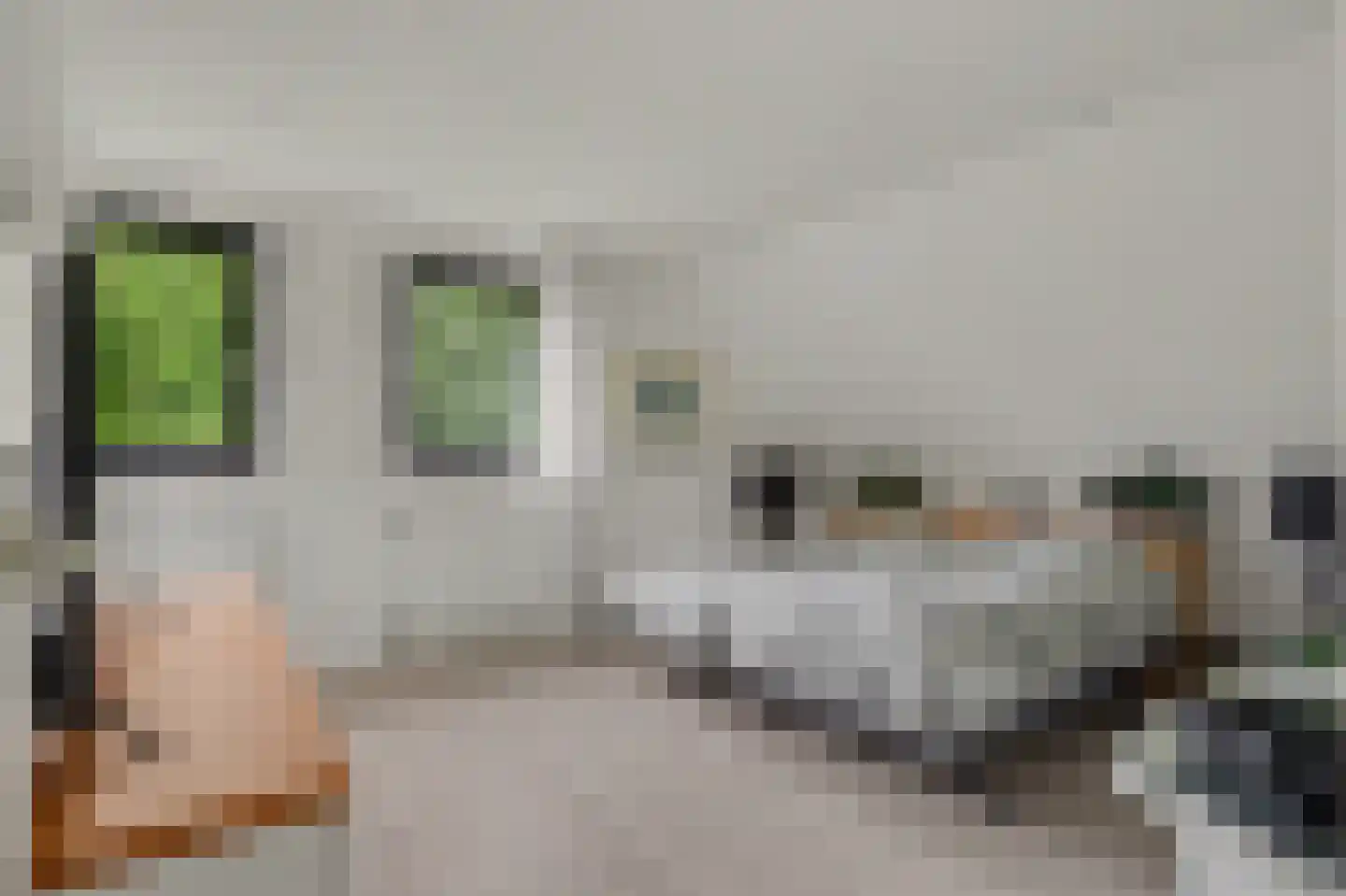 Thorbecke singel 20 Raamsdonksveer thumbnail 28