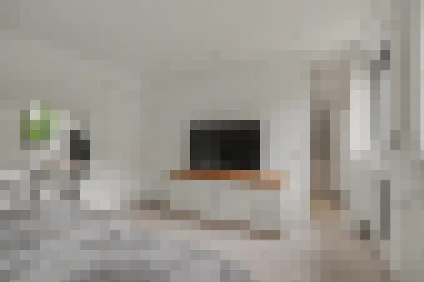 Thorbecke singel 20 Raamsdonksveer thumbnail 29