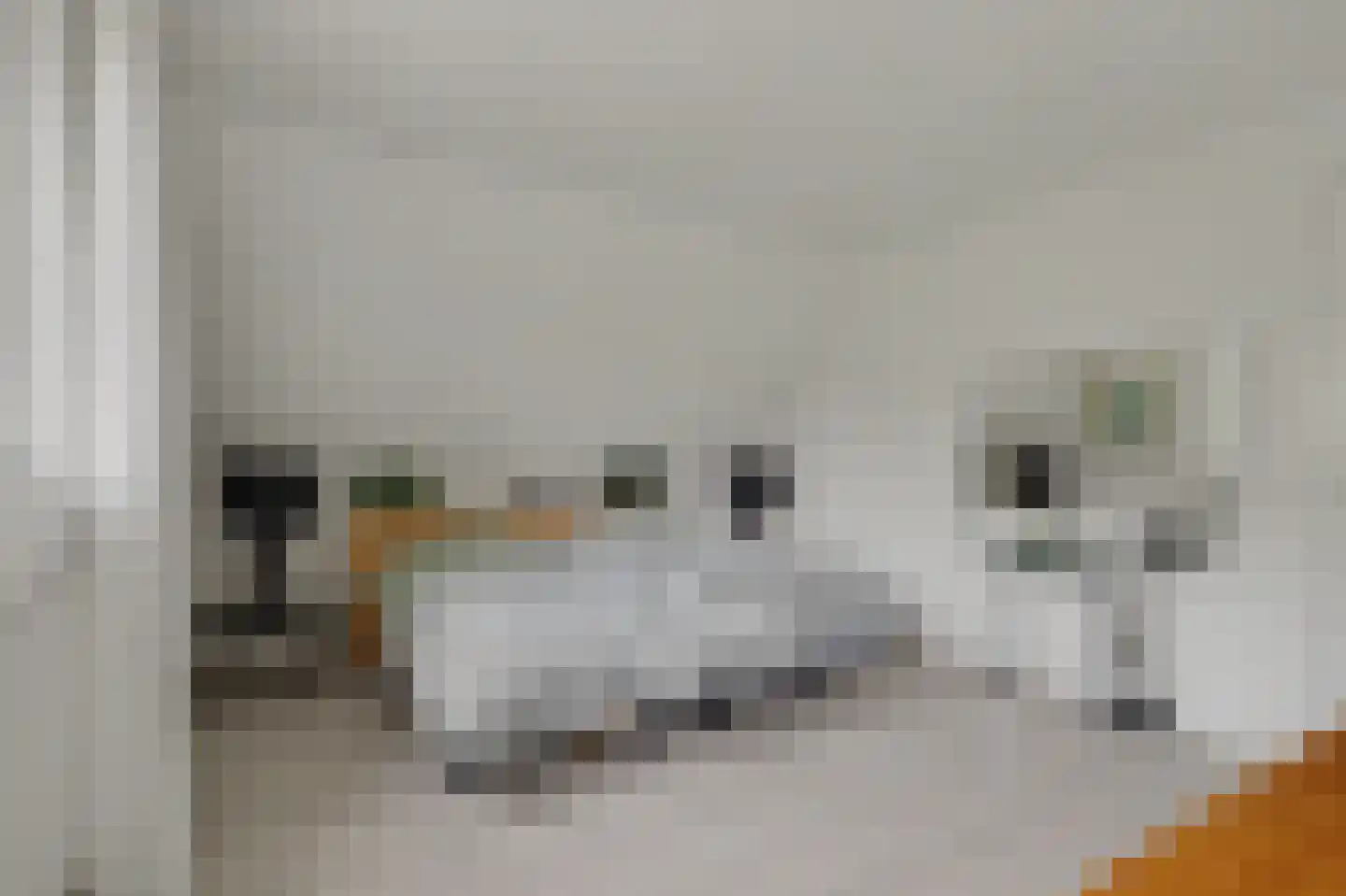 Thorbecke singel 20 Raamsdonksveer thumbnail 30