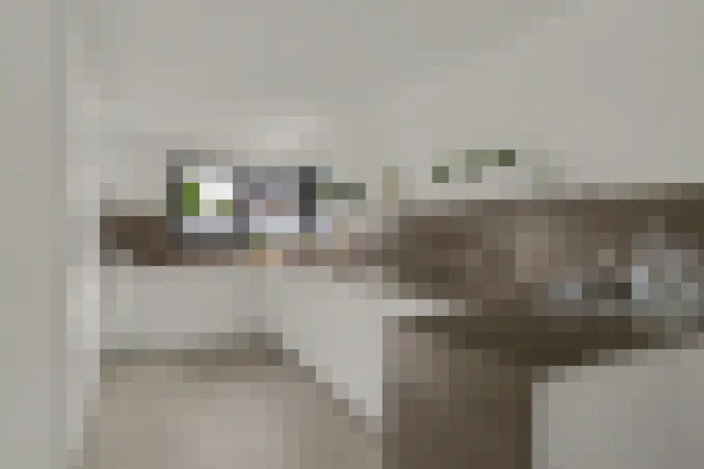 Thorbecke singel 20 Raamsdonksveer thumbnail 4