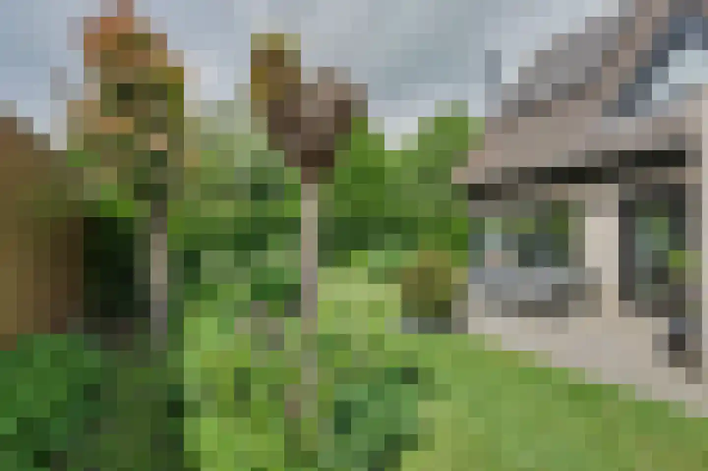 Thorbecke singel 20 Raamsdonksveer thumbnail 43