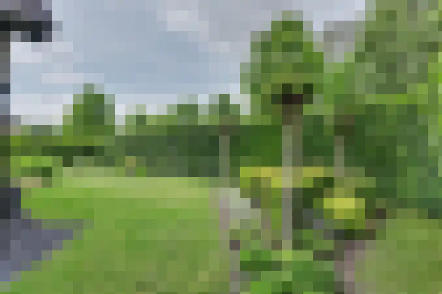 Thorbecke singel 20 Raamsdonksveer thumbnail 48